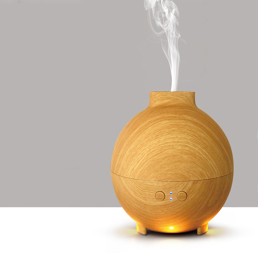 Steam humidifier,